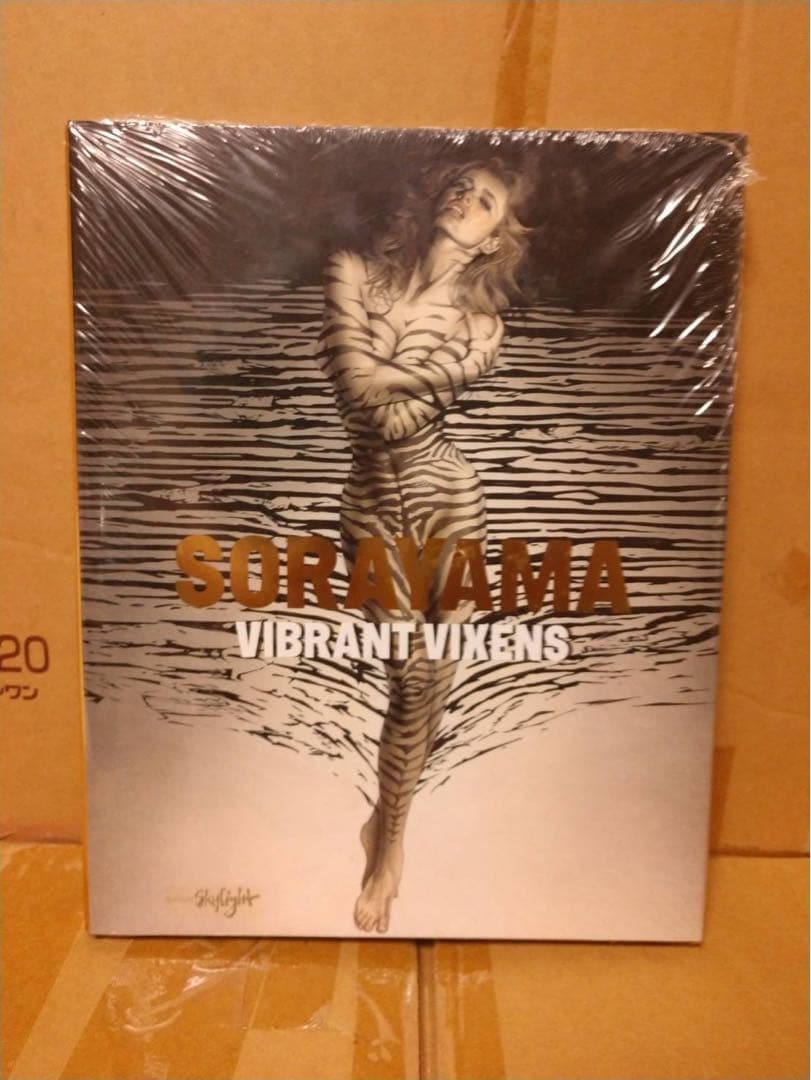 NiKK（ニック）】DVD 14枚セット