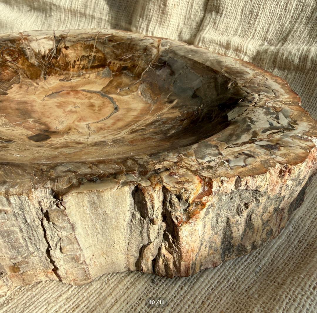 2.6kg【珪化木】ペトリファイドウッド トレイ