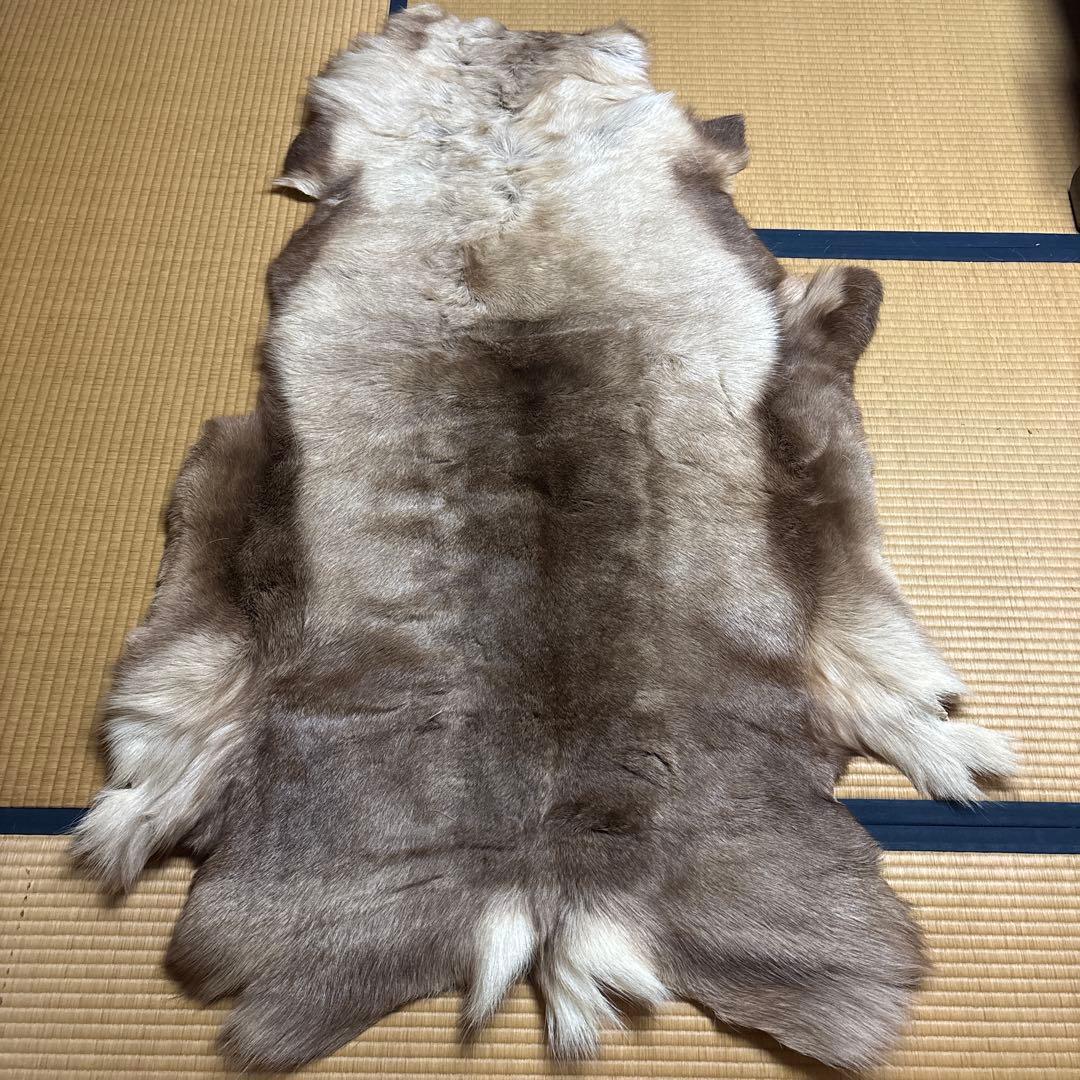 トナカイ毛皮　高級毛皮ラグ LARGE トナカイ毛皮 高級毛皮ラグ LARGE 特大サイズ【フィンランド ラップ