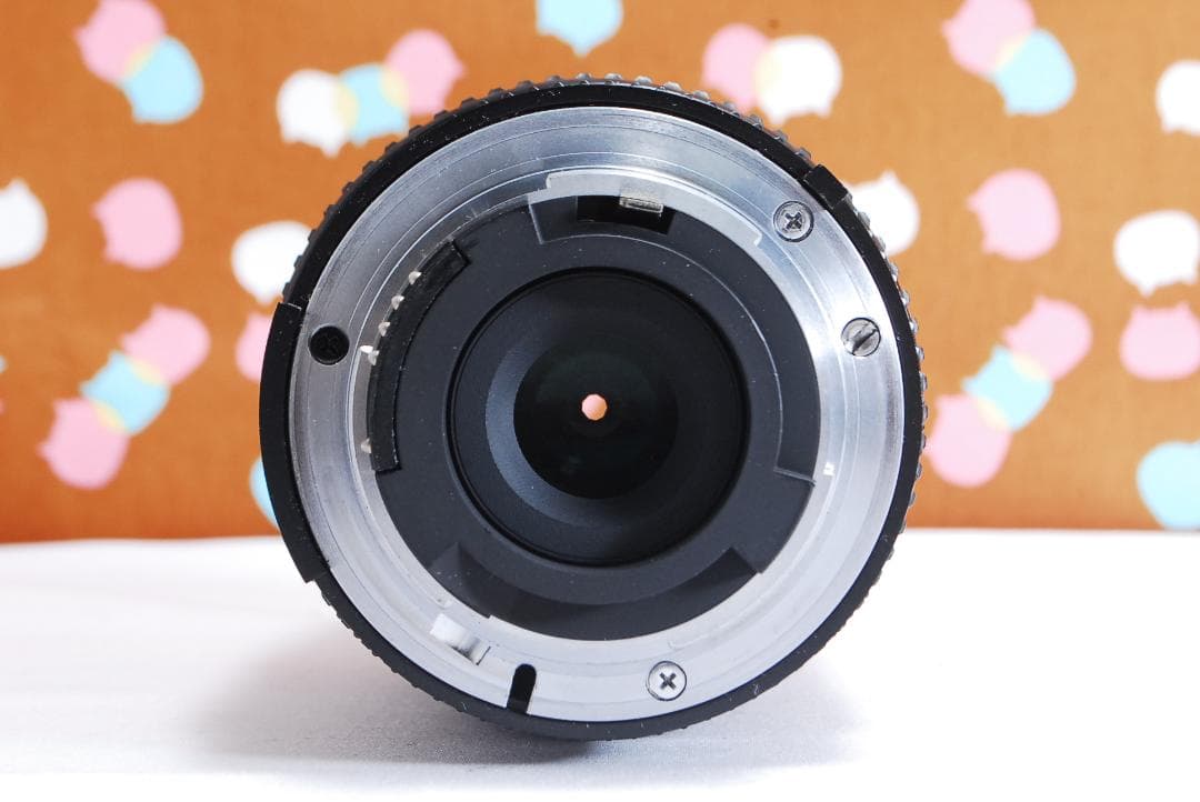 ✨ハイアマチュア機✨届いてすぐ使える✨Nikon D100 レンズセット