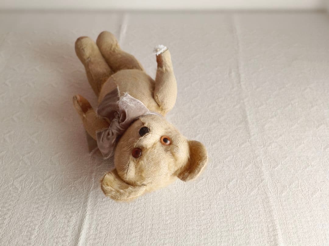 antique bear ୨୧ .·*° オレンジの瞳の クマさん