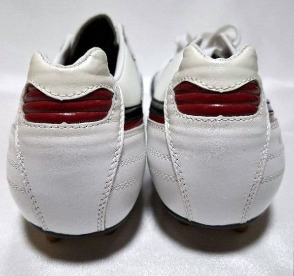 Mizuno　モレリア　Professional Model　24〜24.5cm