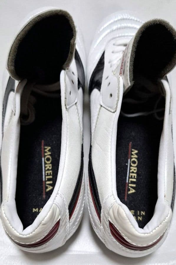 Mizuno　モレリア　Professional Model　24〜24.5cm