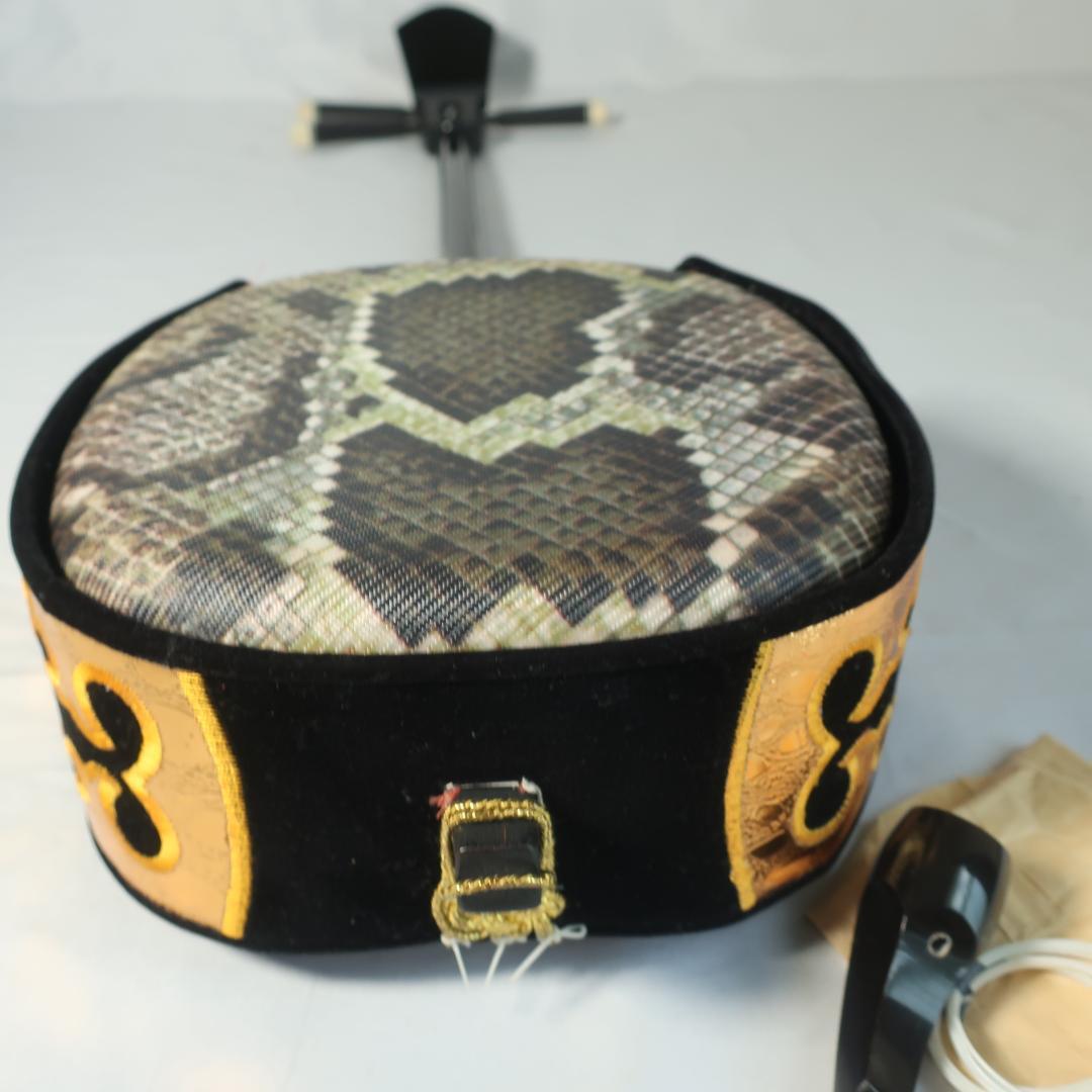 沖縄三線 ハードケース付 爪 予備弦 教則本 付属 和楽器