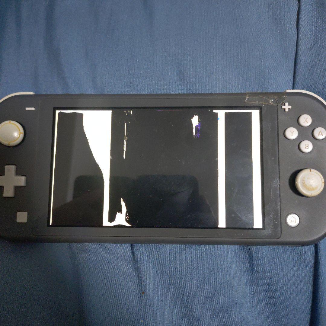 Switchライト　画面映らないためジャンク品 本体のみ スイッチ修理後】映像だけ映らない時にここも見直すと直る人多い