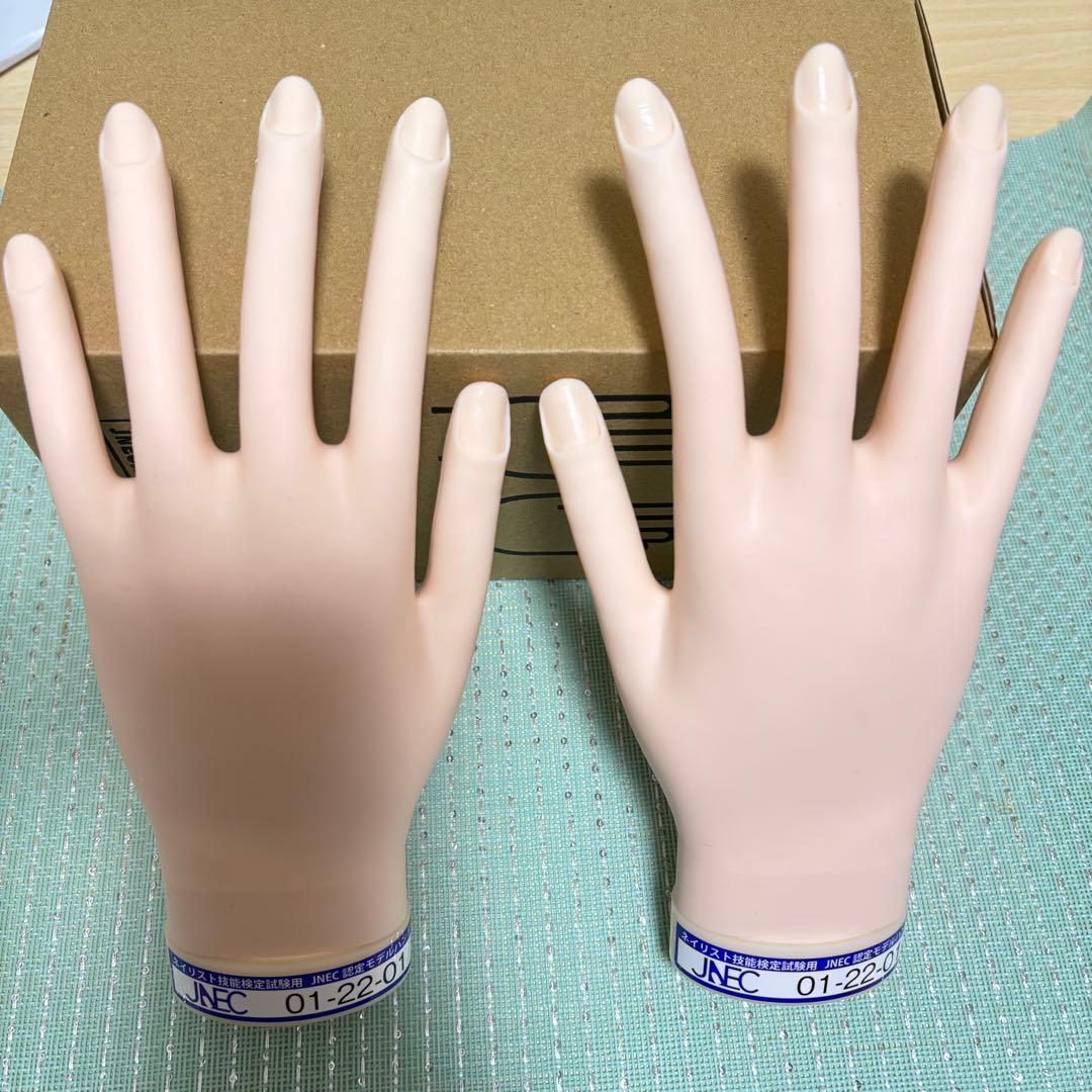 ST認定モデルハンド STモデルハンド セット | Nail Labo Online Shop ネイルラボ