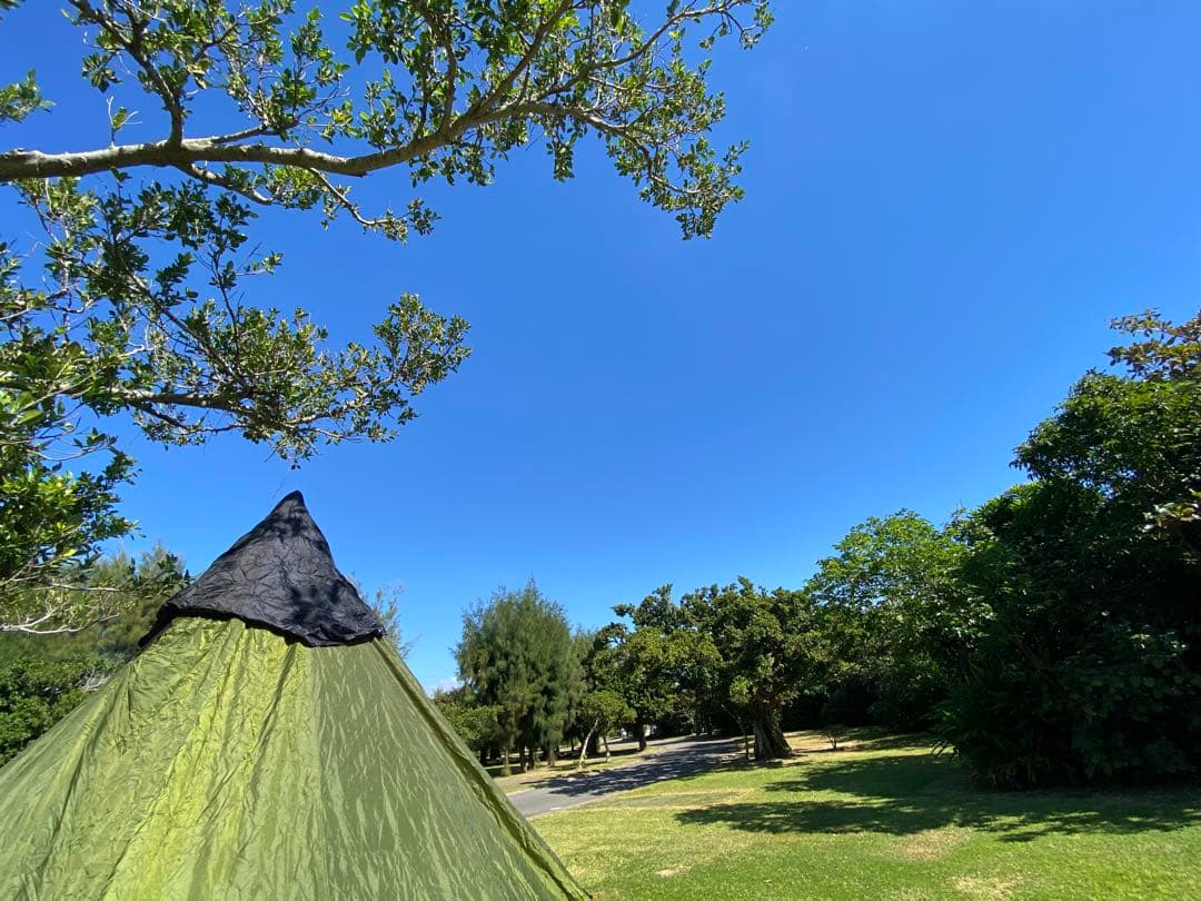 現状 中古ジャンク ローベンス フィールドステーション - メルカリ