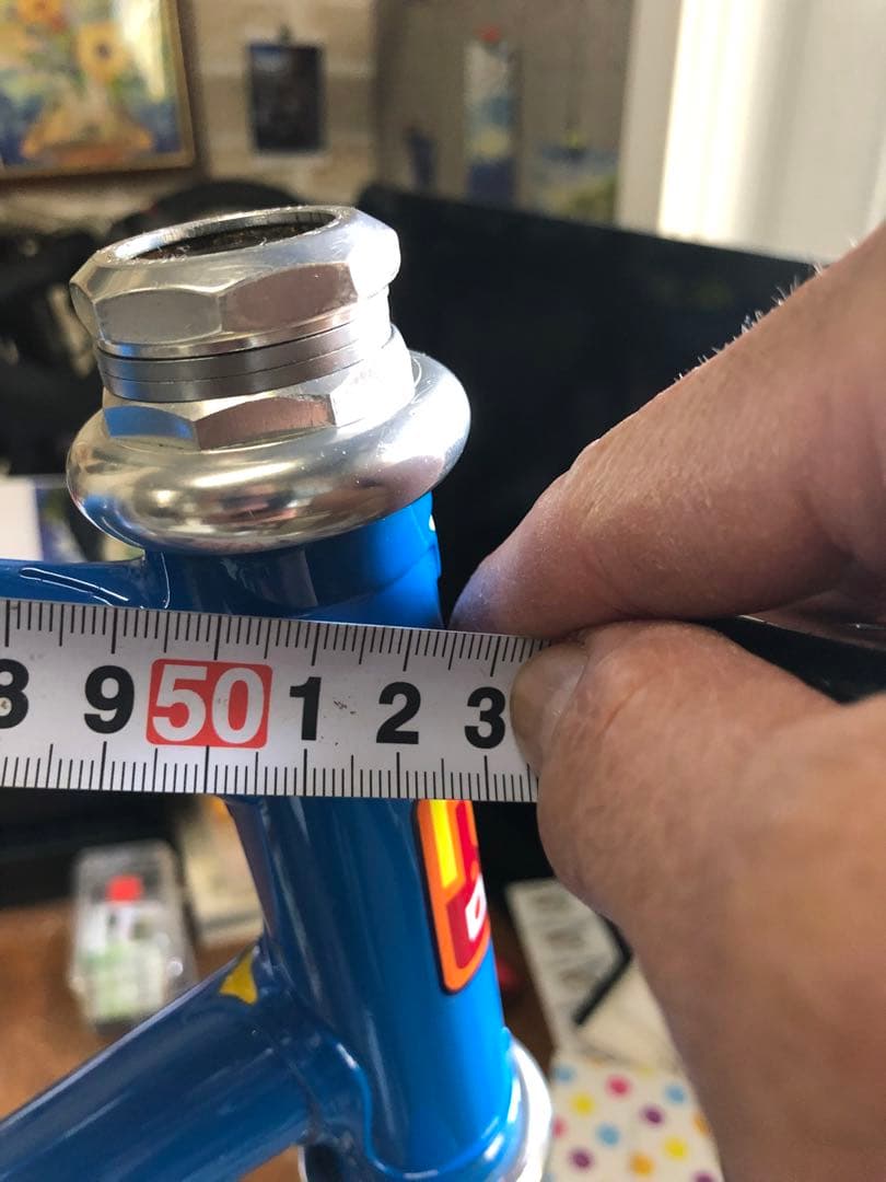 超綺麗！NAGASAWA special PIST NJS 515mm