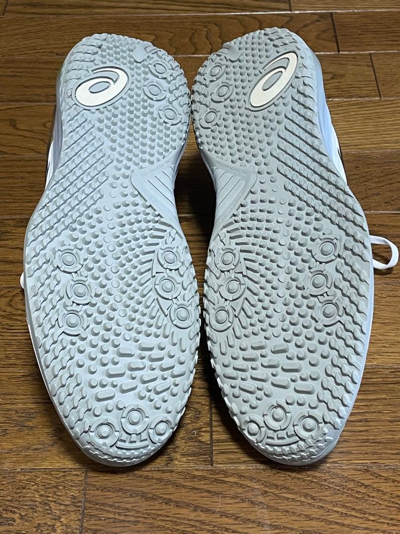 asics GEL-RESOLUTION X OC オムニ クレー 28.0cm