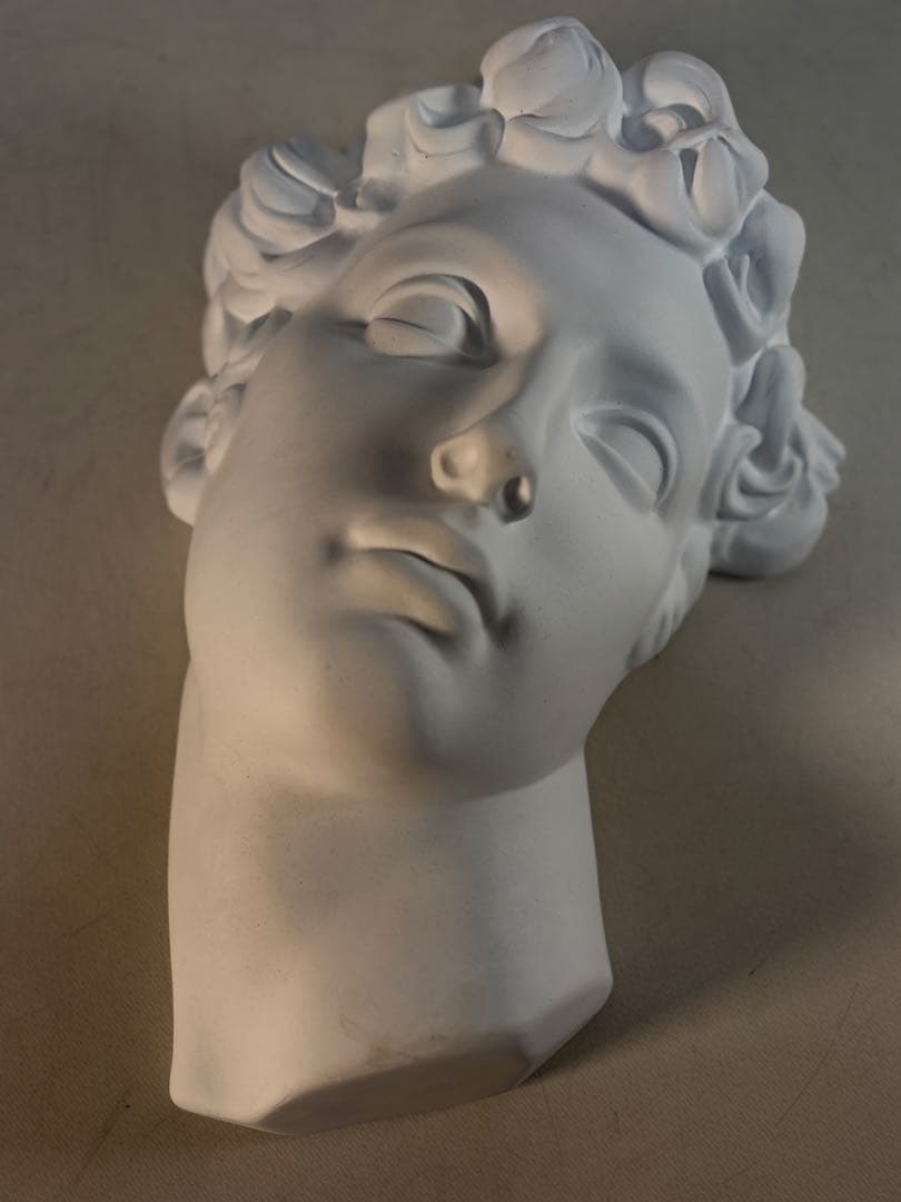 石膏像 メディチ デッサン 半面像 美術 絵画 オブジェ 彫刻 アート