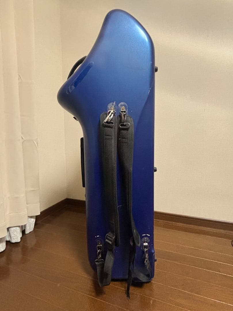 J.W.Eastman CC Shiny Case サックスケース