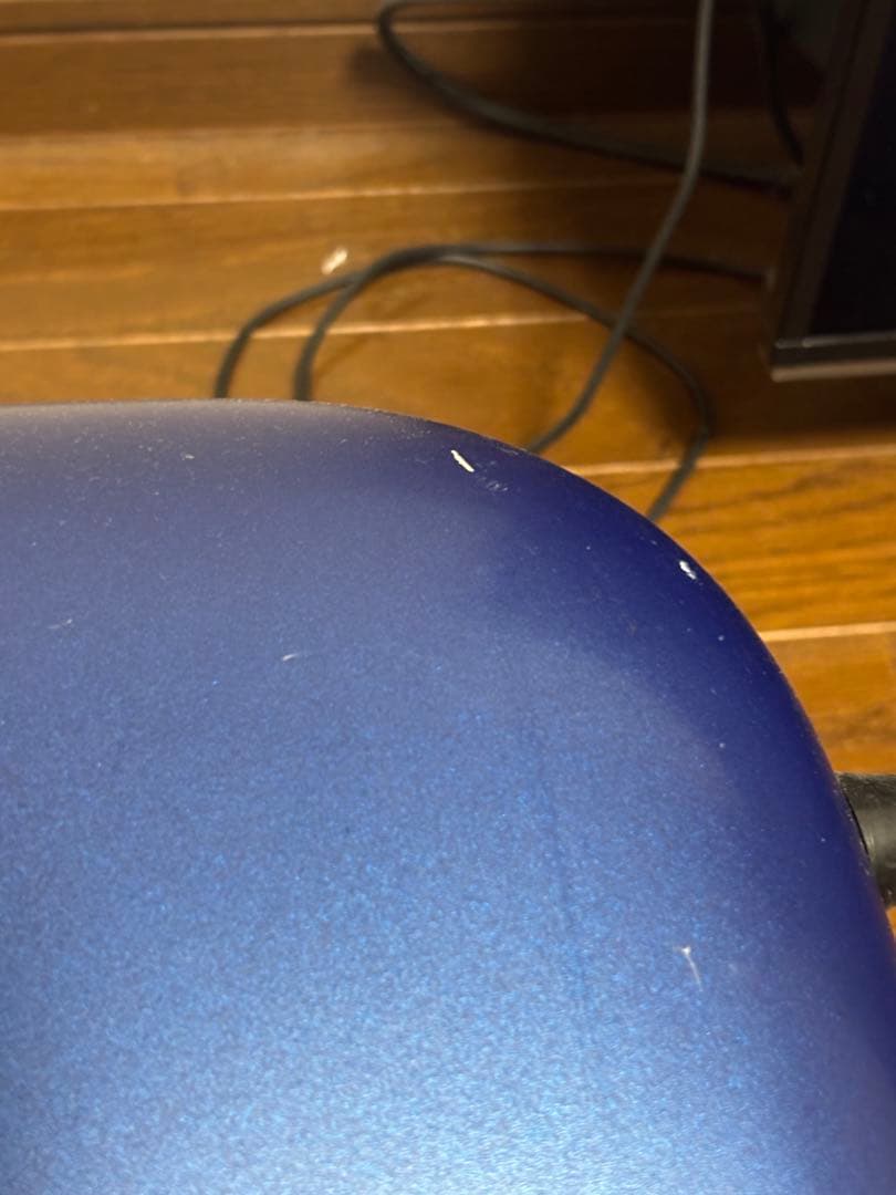 J.W.Eastman CC Shiny Case サックスケース