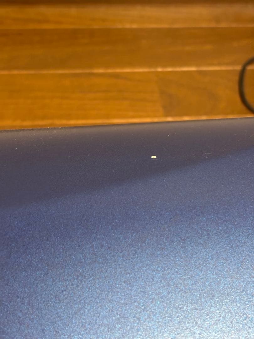 J.W.Eastman CC Shiny Case サックスケース