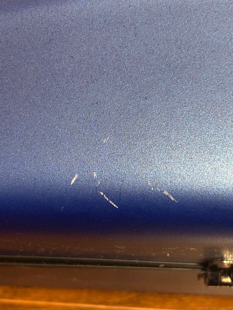 J.W.Eastman CC Shiny Case サックスケース