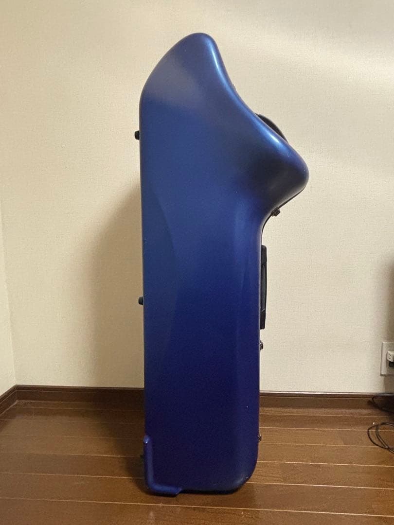 J.W.Eastman CC Shiny Case サックスケース