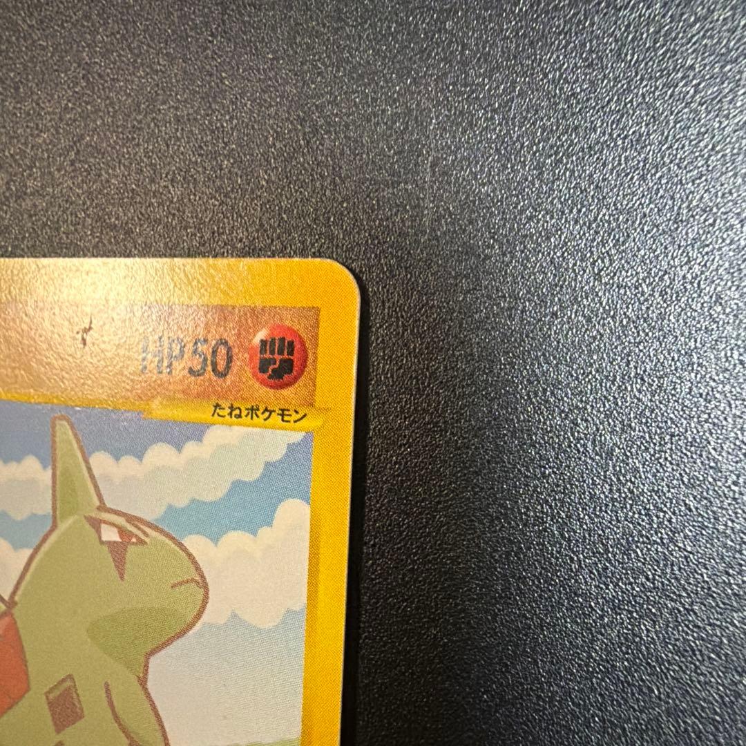 ピカチュウ、ヨーギラス PROMO P - eプロモカード 005/P