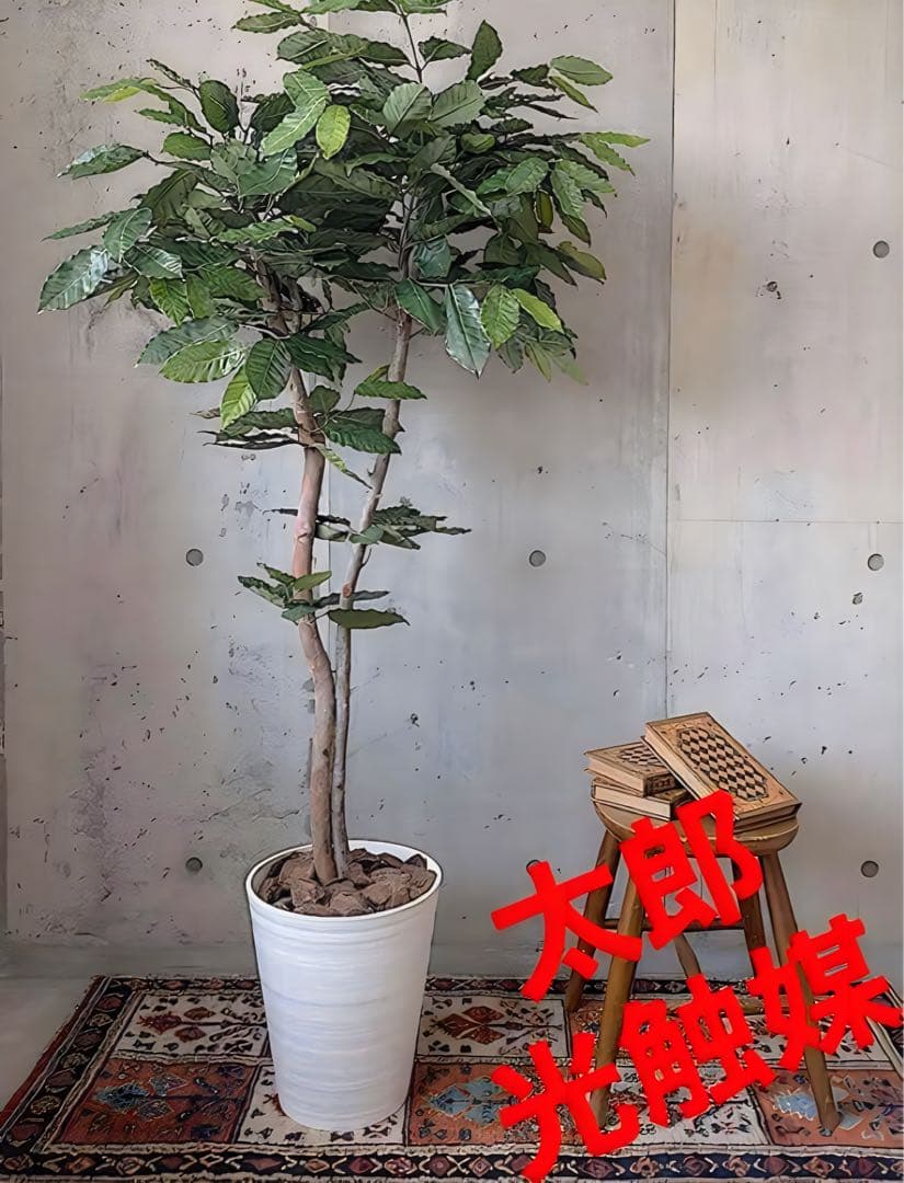 光触媒　人工観葉植物　ウォールグリーン　フェイクグリーン　コーヒーの木g@'t 光触媒 光の楽園 コーヒーツリー 高さ 1.8m 【インテリア フェイク