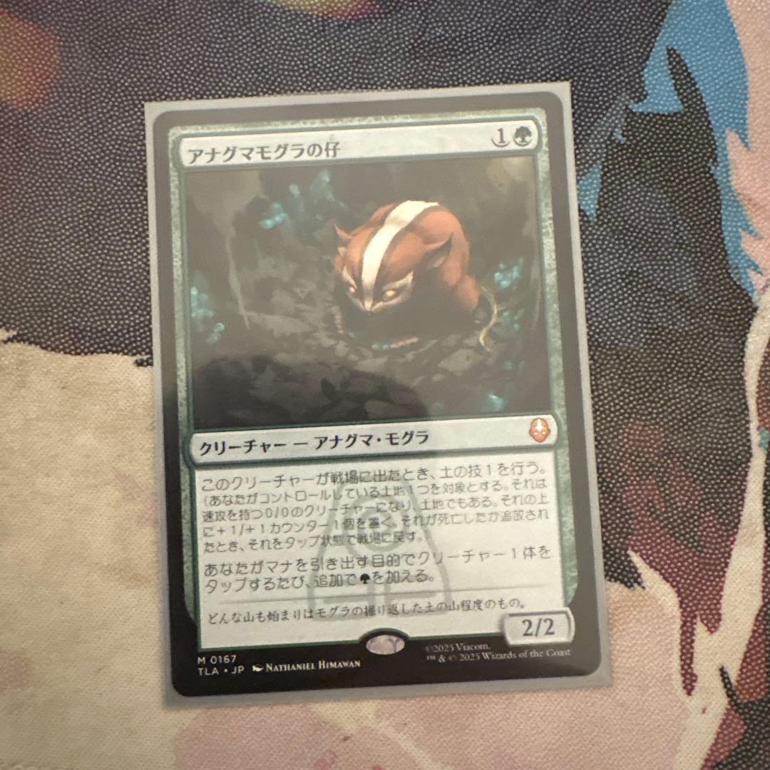 FOIL/MTG/日本語版/アナグマモグラの仔/Badgermole Cub/ボーダーレス