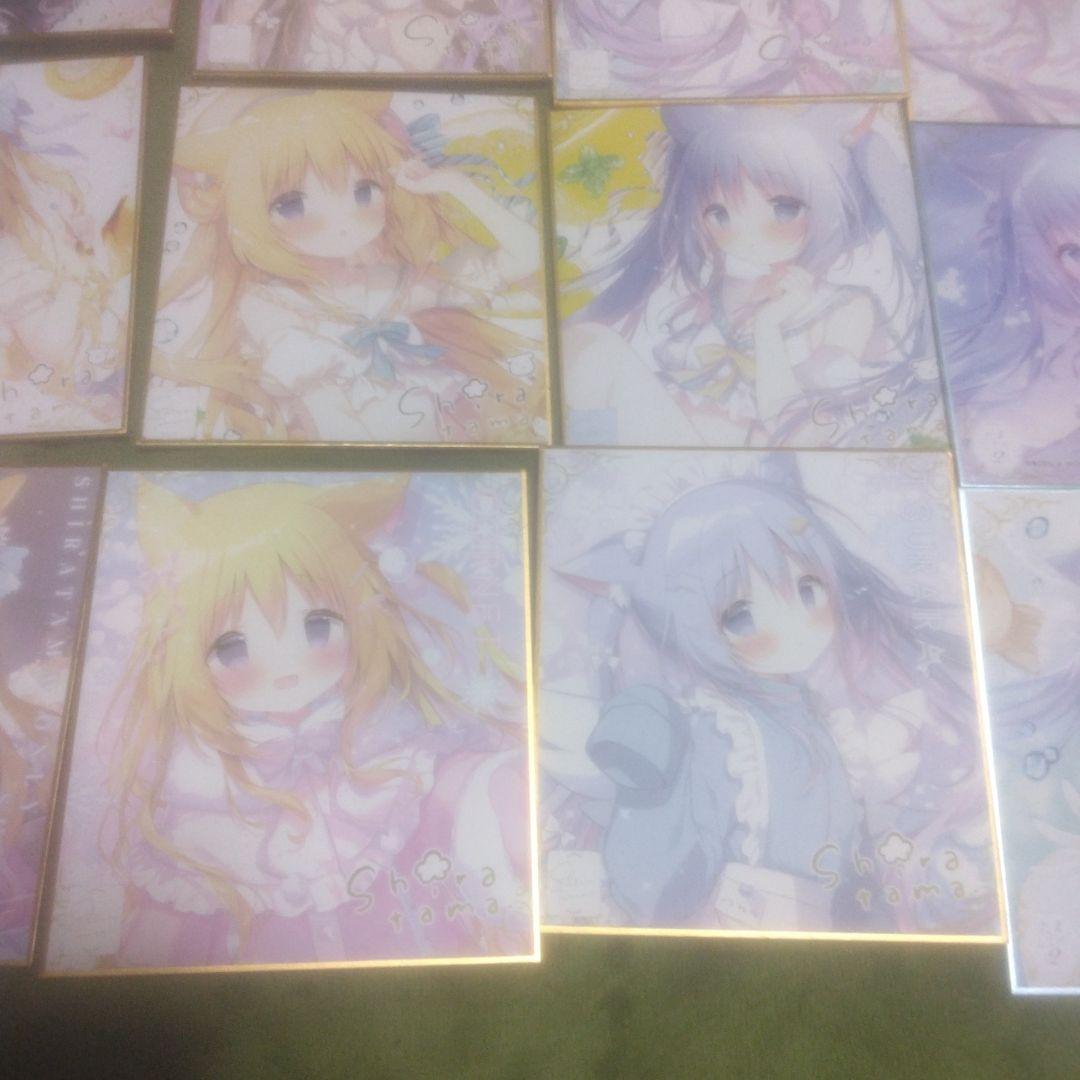 ⑅*⃛様 しらたま　しらたまこ　ミニ色紙　きゃべつそふと　あまいろショコラータ