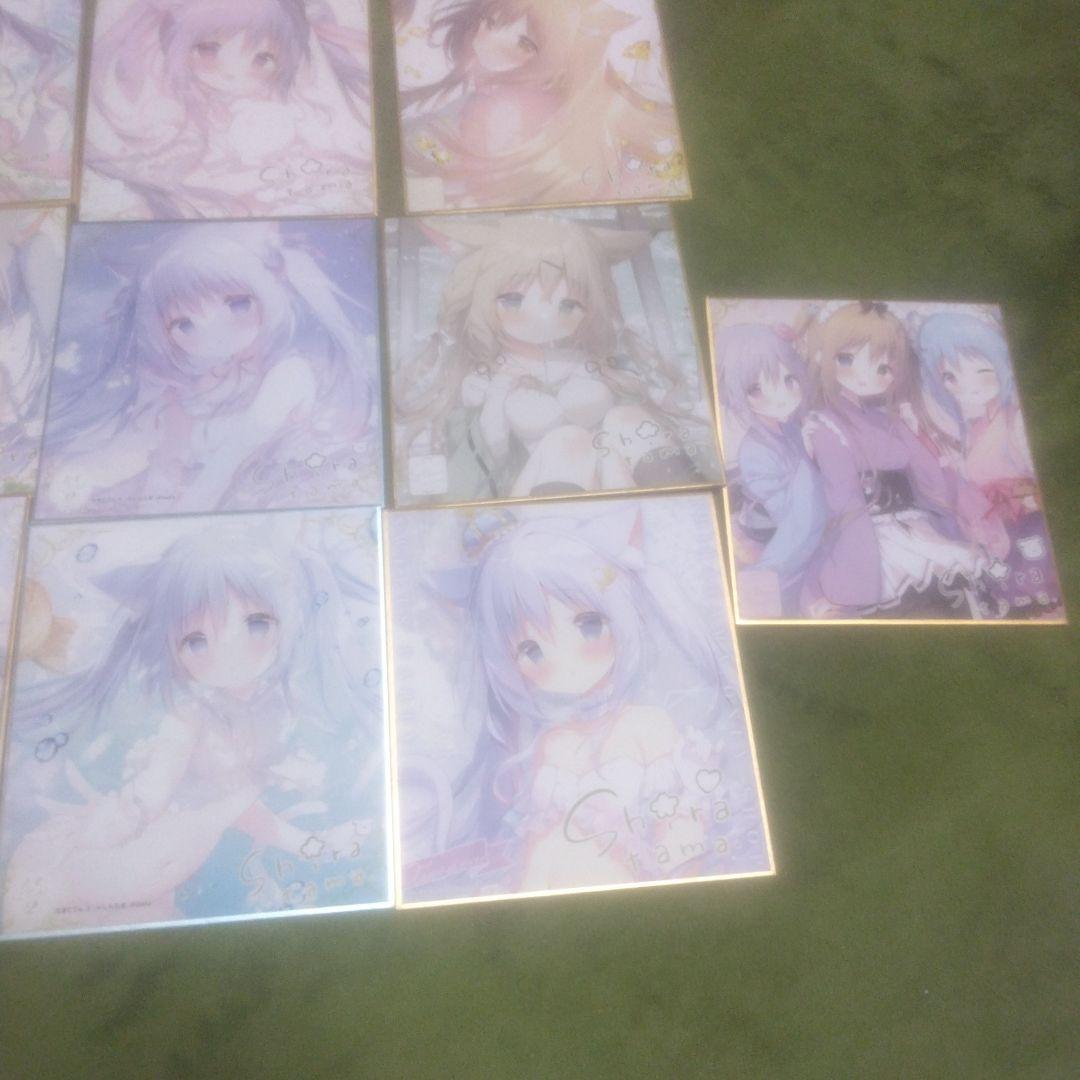 ⑅*⃛様 しらたま　しらたまこ　ミニ色紙　きゃべつそふと　あまいろショコラータ