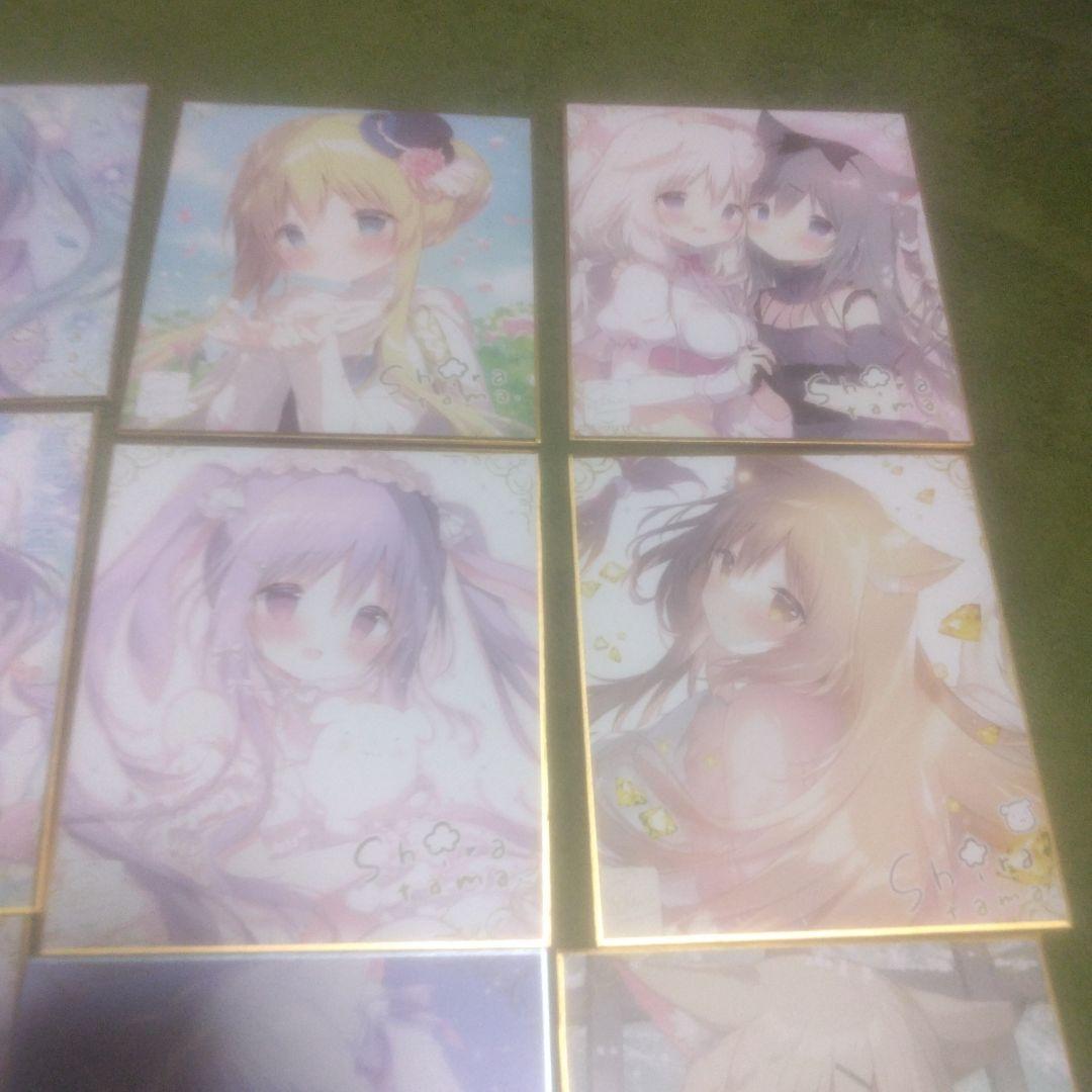 ⑅*⃛様 しらたま　しらたまこ　ミニ色紙　きゃべつそふと　あまいろショコラータ