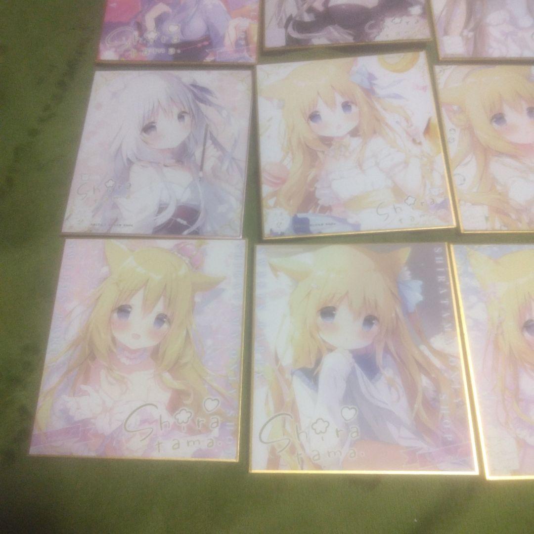 ⑅*⃛様 しらたま　しらたまこ　ミニ色紙　きゃべつそふと　あまいろショコラータ