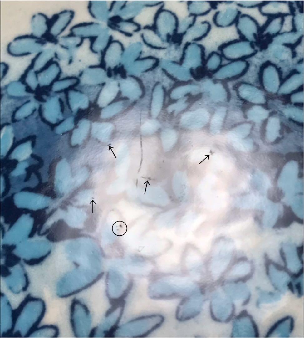 希少品】ARABIA ヘルヤ 