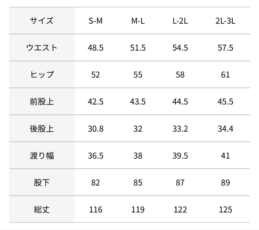 43DEGREES24-25モデル スノーボードパンツ2L-3L