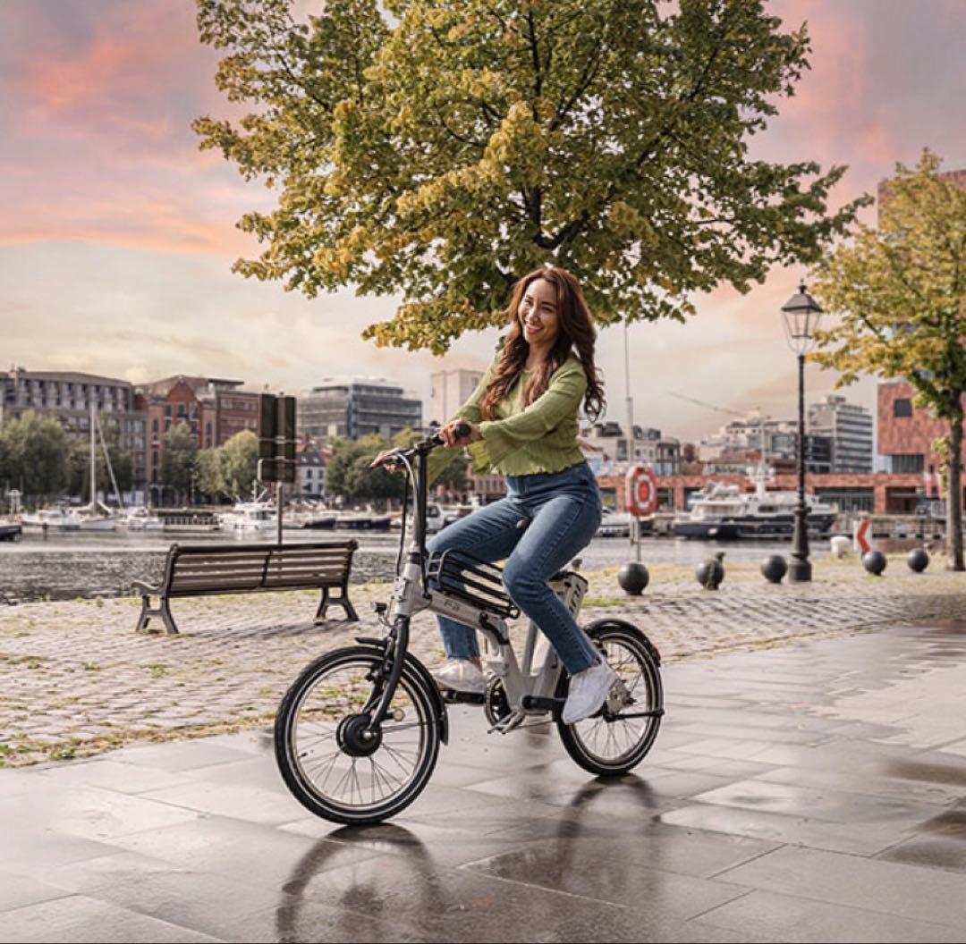 にゃた様専用 BESV F3 電動アシスト折り畳み20インチモデル ライトグレー