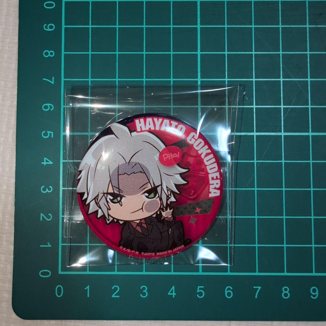 家庭教師ヒットマン REBORN ぴたでふぉめ 缶バッジ 獄寺隼人 - メルカリ