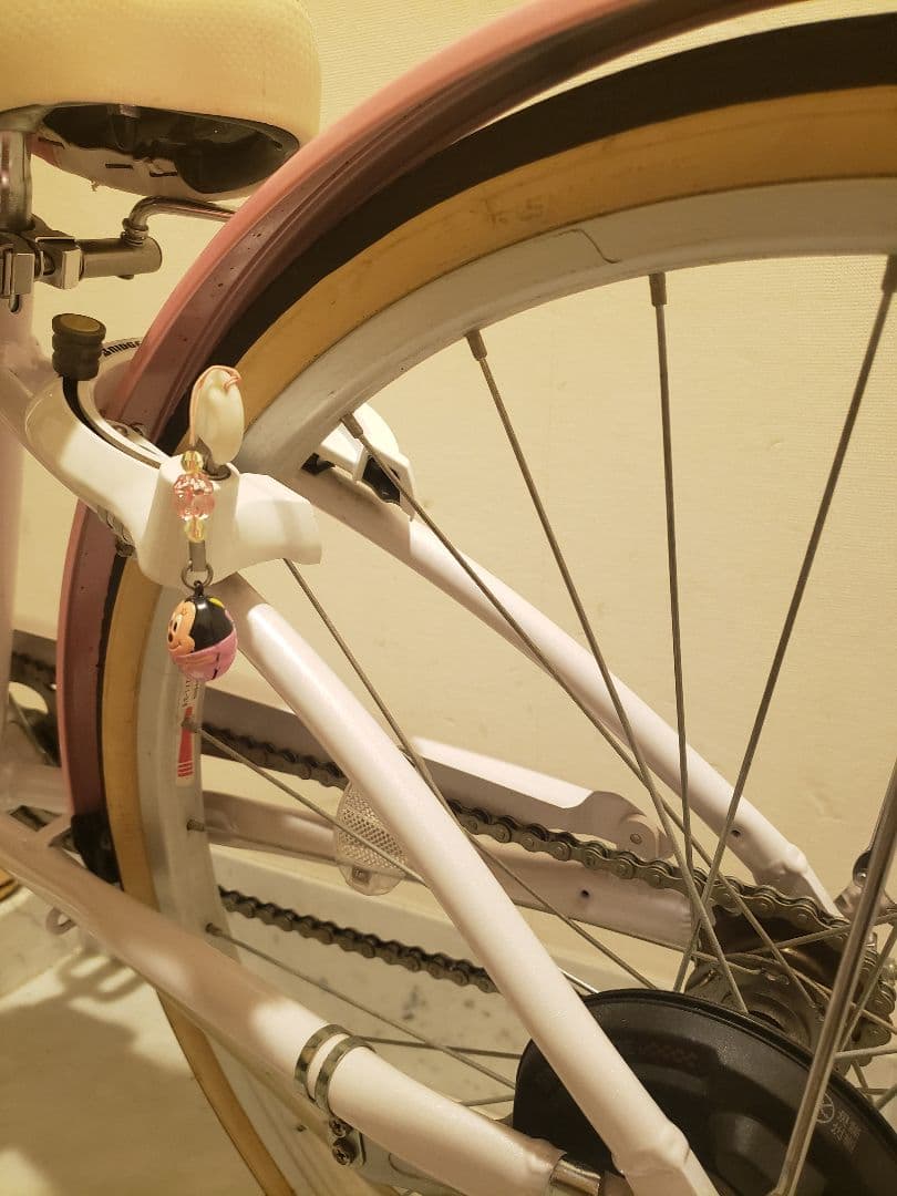 BRIDGESTONE Wild Berry 22 子供用 【室内保管・直渡し】 自転車