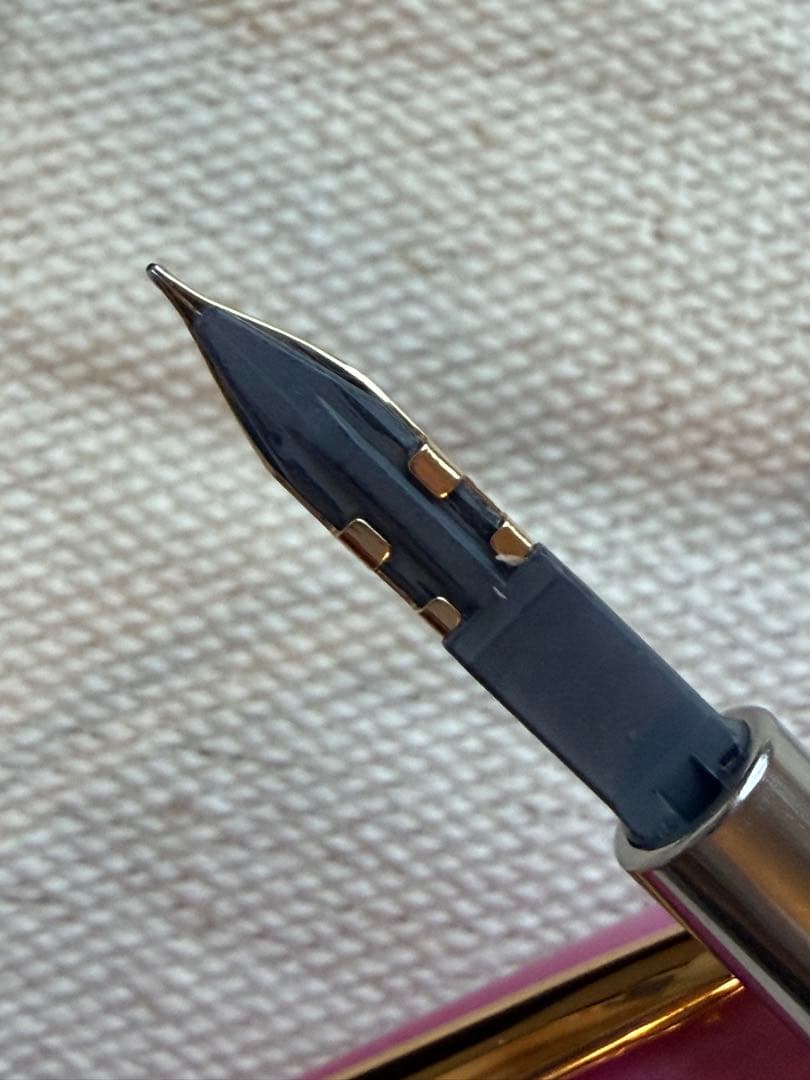 お値下げ不可 ナガサワ 万年筆 キャップレスデシモ 雪御所ザクラ F ゴールド