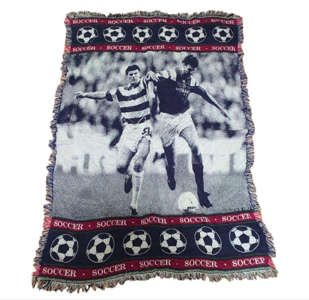 谷村海那選手 直筆サイン入りペナント