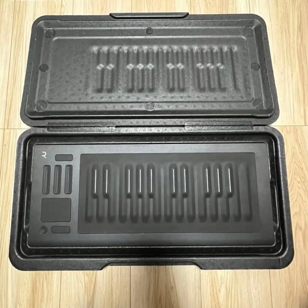 DTM・DAW ROLI Seaboard RISE 25 ROLI Seaboard Rise 25 Review — loops de la crème
