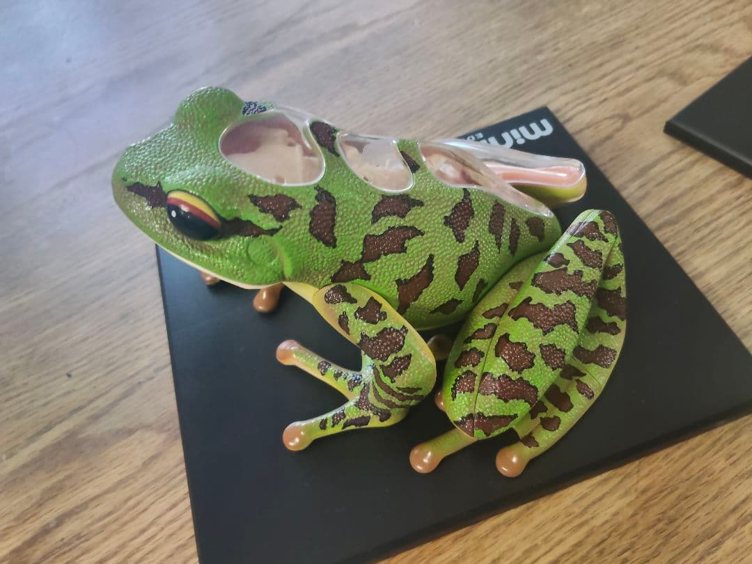 スカイネット 動物解剖モデル フィギュア カエル カタツムリ 立体