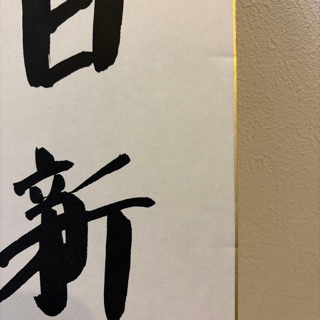 片山さつき議員 揮毫 色紙 - メルカリ