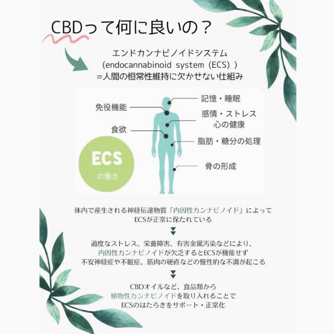 ブランド並行輸入正規品販売!!THXPリキッド 0.5ml 【強体感】