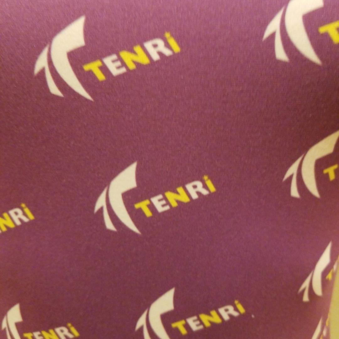 A240　競泳水着　Mぐらい　天理大学水泳部　指定水着　TENRI VIOLET