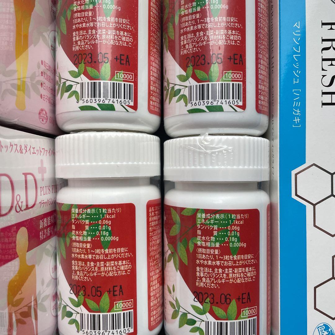 エコロインターナショナル artmagazin.org