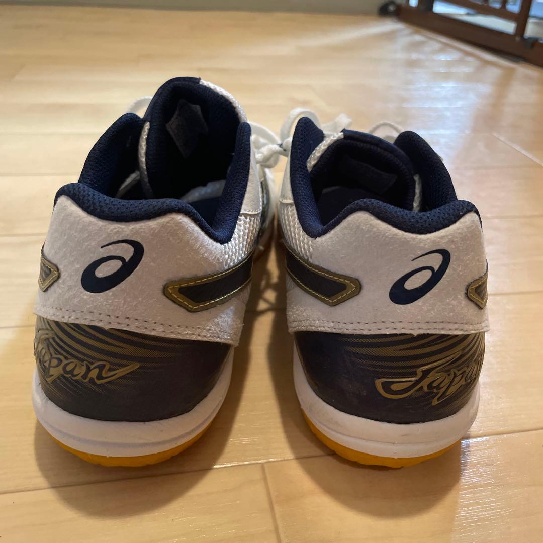 ASICS TVR490 バレーボールシューズ 27.0cm