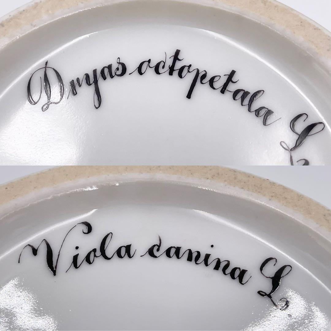 スフィンクス様 【希少品】フローラダニカ ワインクーラー ロイヤル