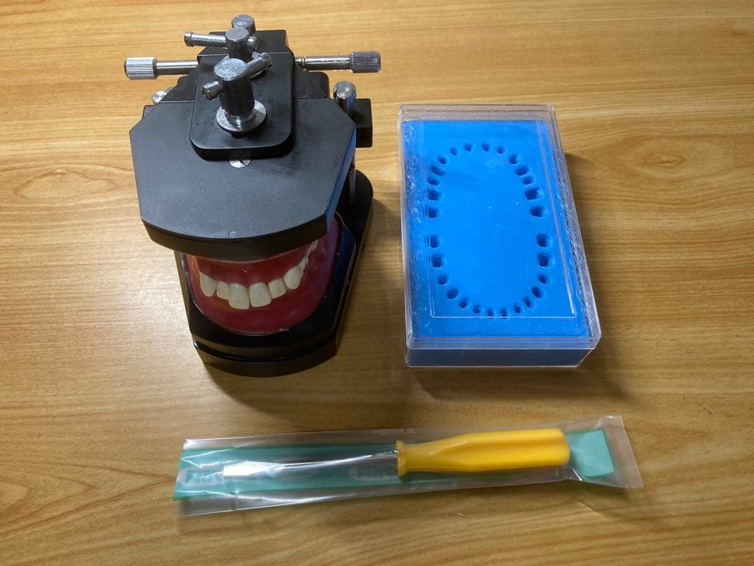 タイポドント咬合器&メタルティースセット ロッキー（JMオーソ）型