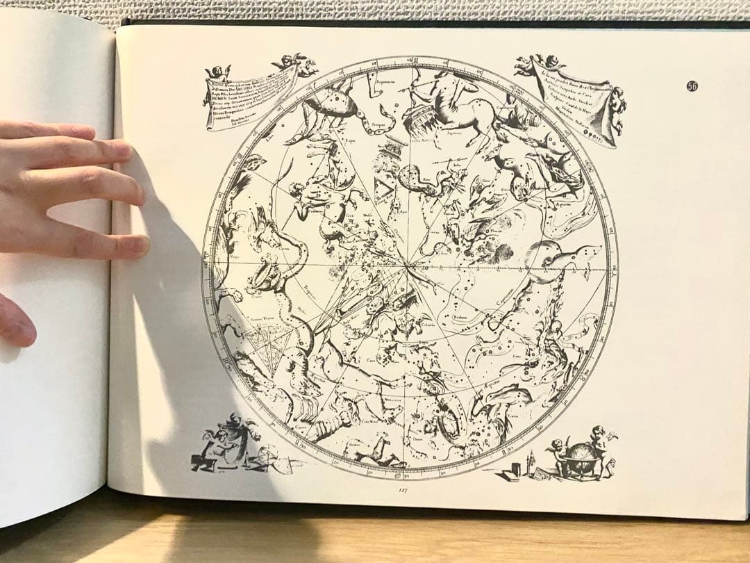 ヘベリウス星座図絵 本 古書 ヘベリウス星座図絵 本 古書 ヘベリウス