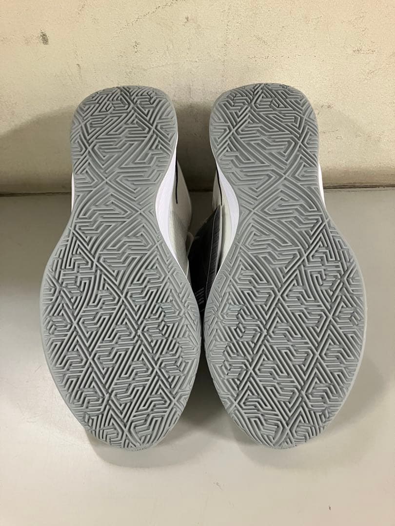 お年玉価格】GIANNIS FREAK 6 EP 102カラー 24.5 GIANNIS FREAK 6 EP