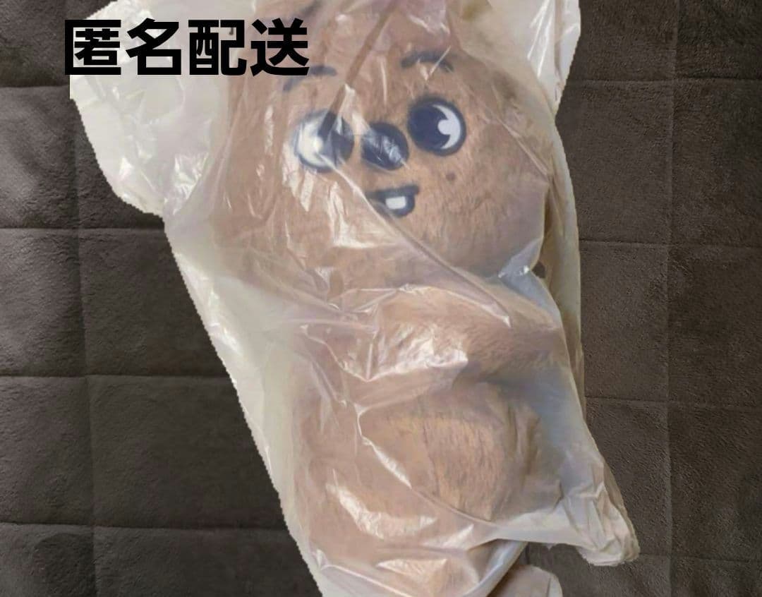 Stray Kids SKZOO PLUSH BAG ハンクオッカ Stray Kids - SKZOO Plush Bag ['dominATE : celebrATE' World Tour