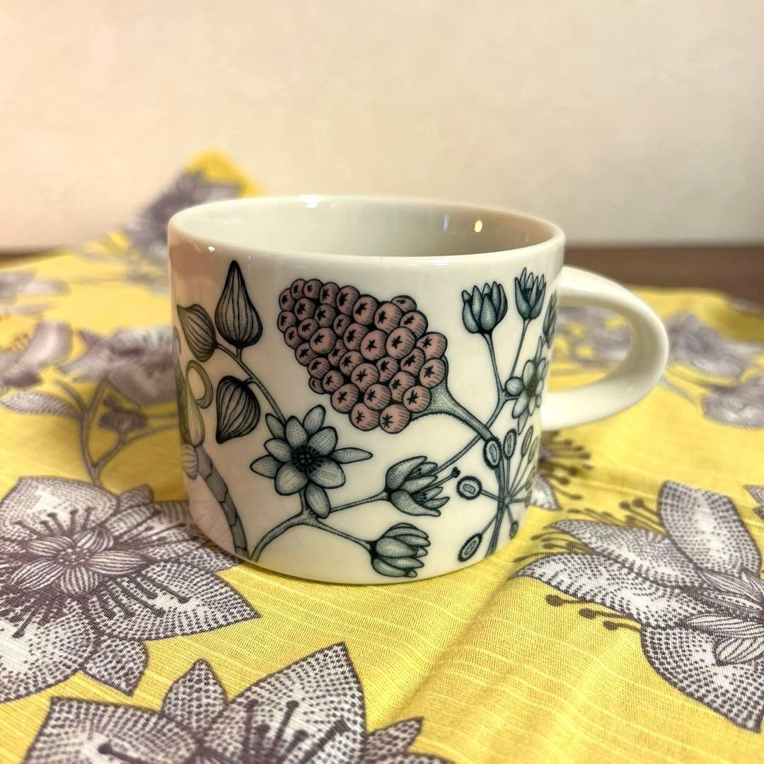 アラビア ルノ スプリングドロップ ティーカップ セット品 - メルカリ