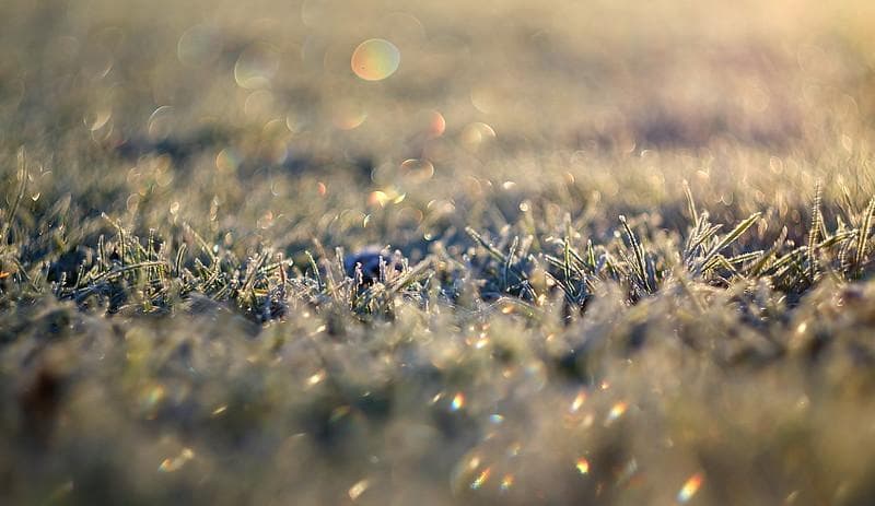 56【希少】Art Photo Group 限定 ヘリオス44-2