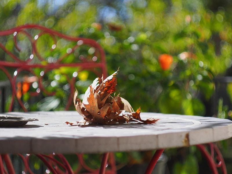 56【希少】Art Photo Group 限定 ヘリオス44-2