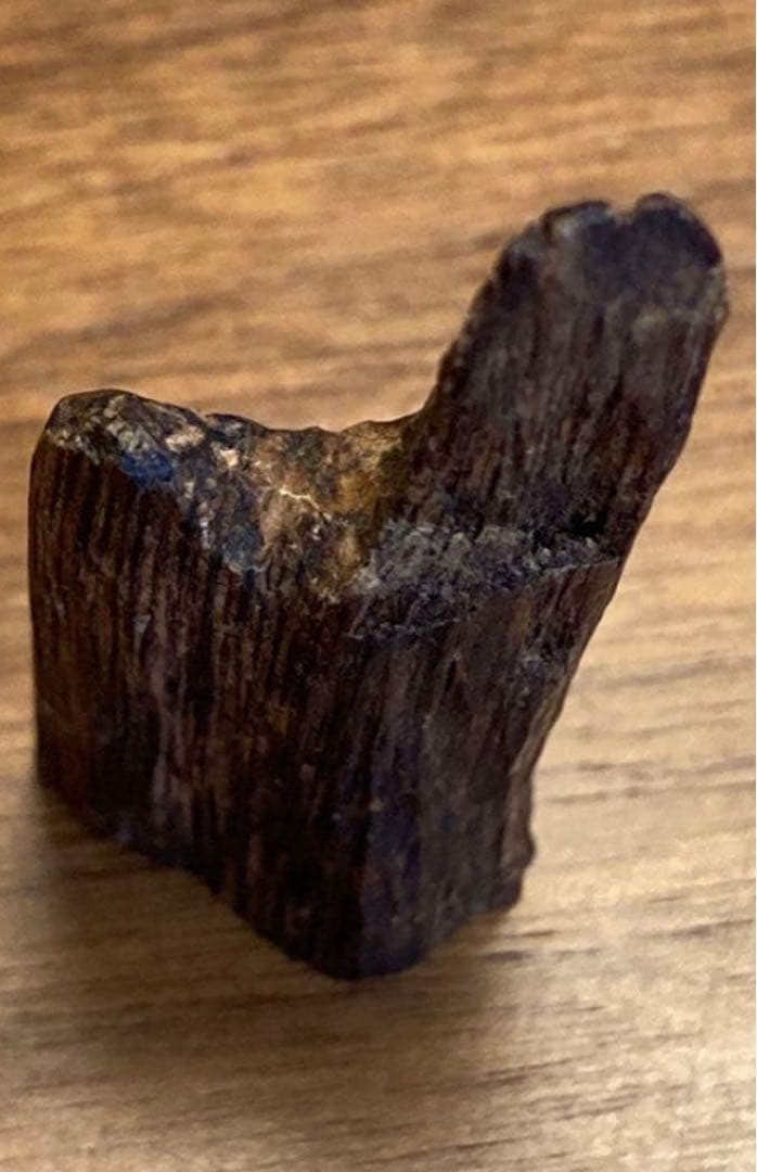 沈水　沈香　香木　タニ　極上　 3.3g