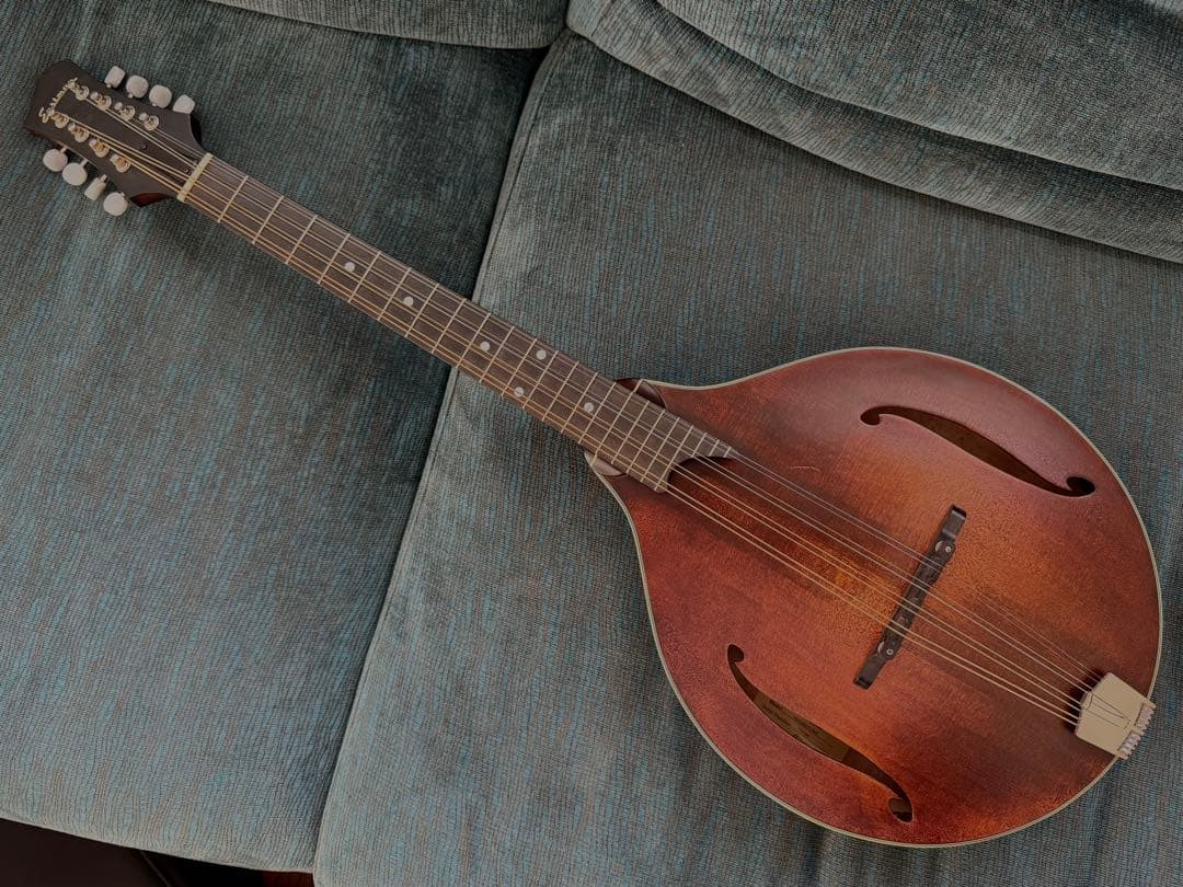 【最終価格】Eastman MDO-305 オクターブマンドリン Buy Eastman MDO305 Octave Mandolin | Ohio – Woodsy's Music